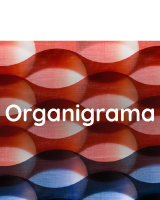 Organigrama