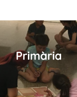 Primària