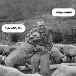Visita comentada
